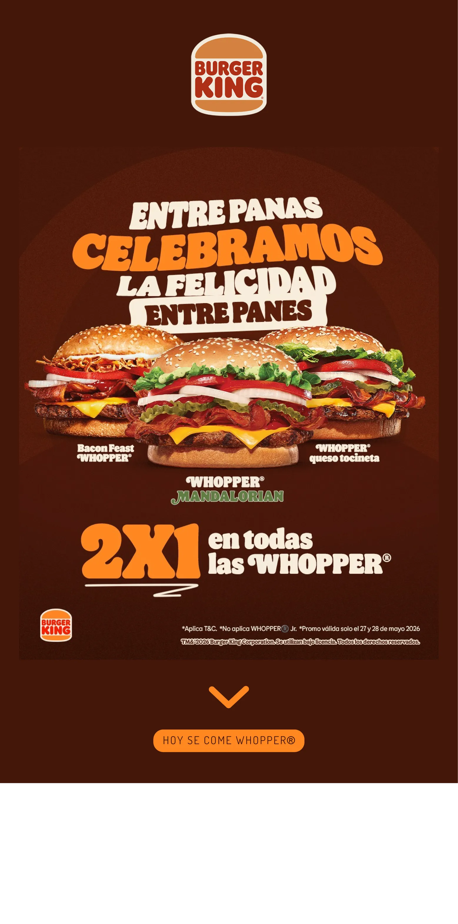 Campaña Email MKT – ejemplo 4
