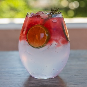 Gin Tonic