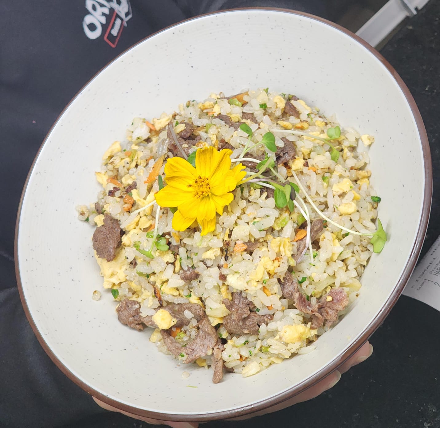 Yakimeshi de Carne