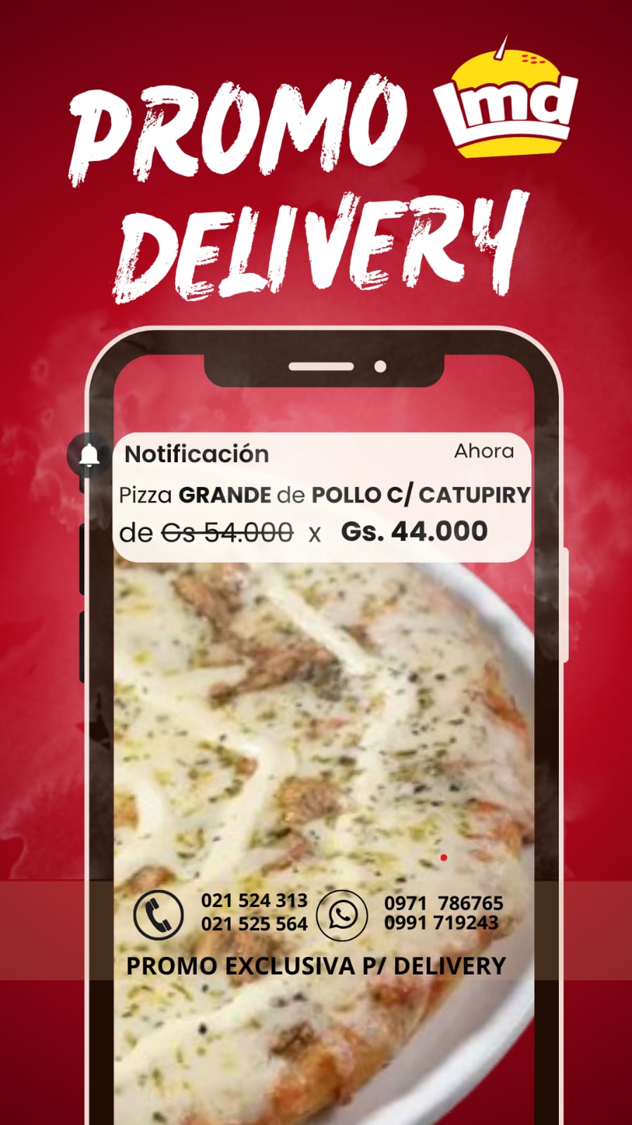 PIZZA GRANDE DE POLLO C/ CATUPIRY