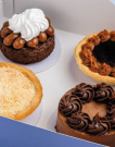 BOX DEGUSTACIÓN