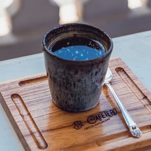 Cocido