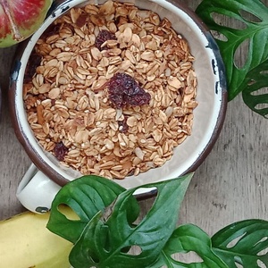 Granola 400gr