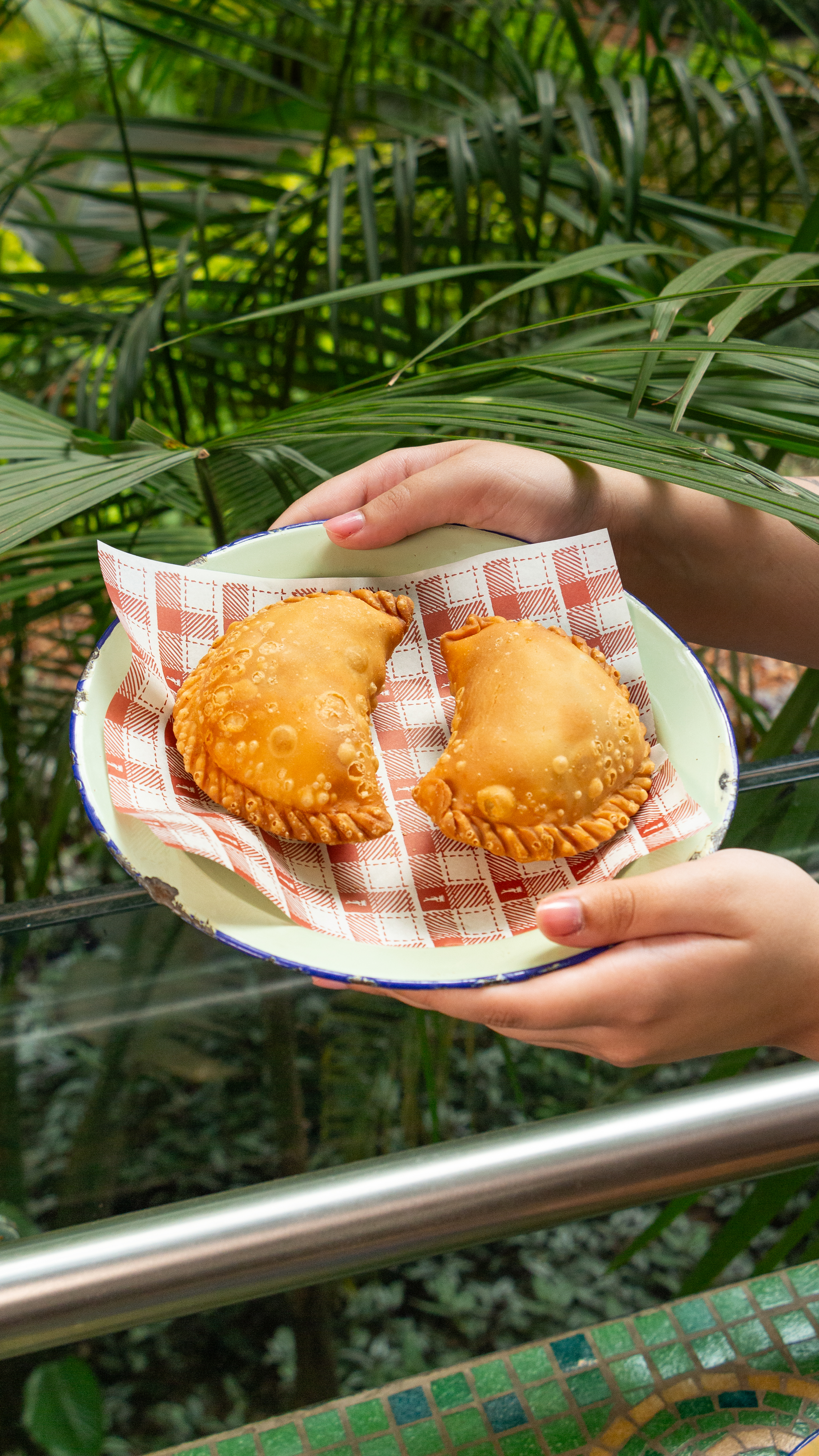 Empanada de carne