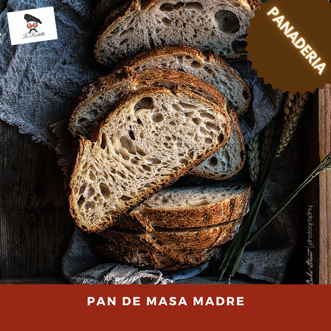 PAN DE MASA MADRE