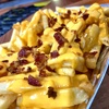FRIES M